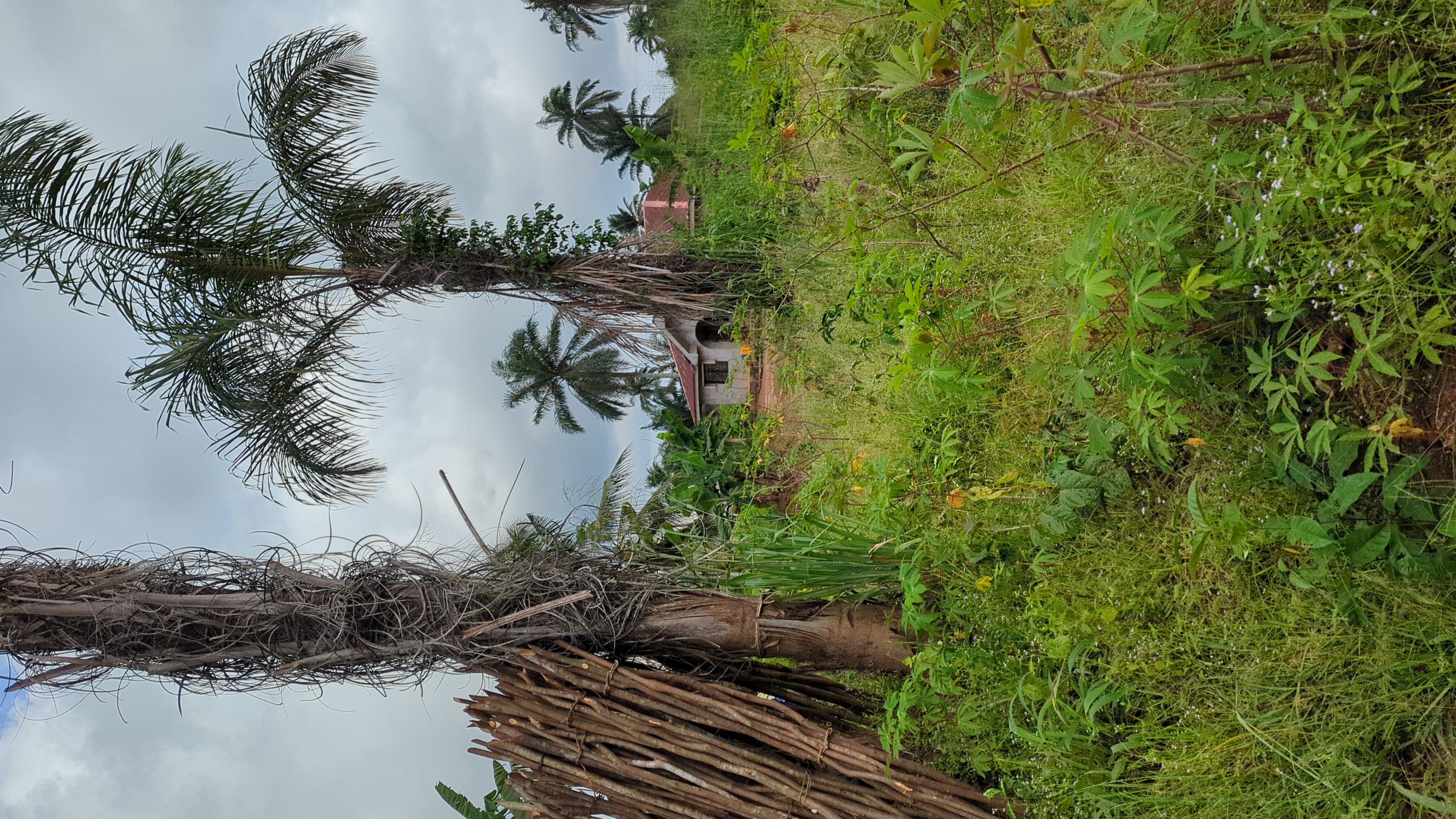 agrocoop forestry inspection