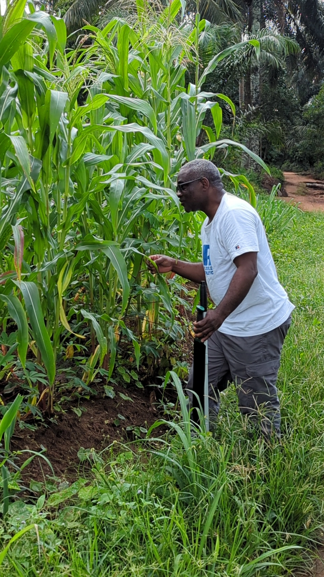 Agrocoop Cultivation Insepection.