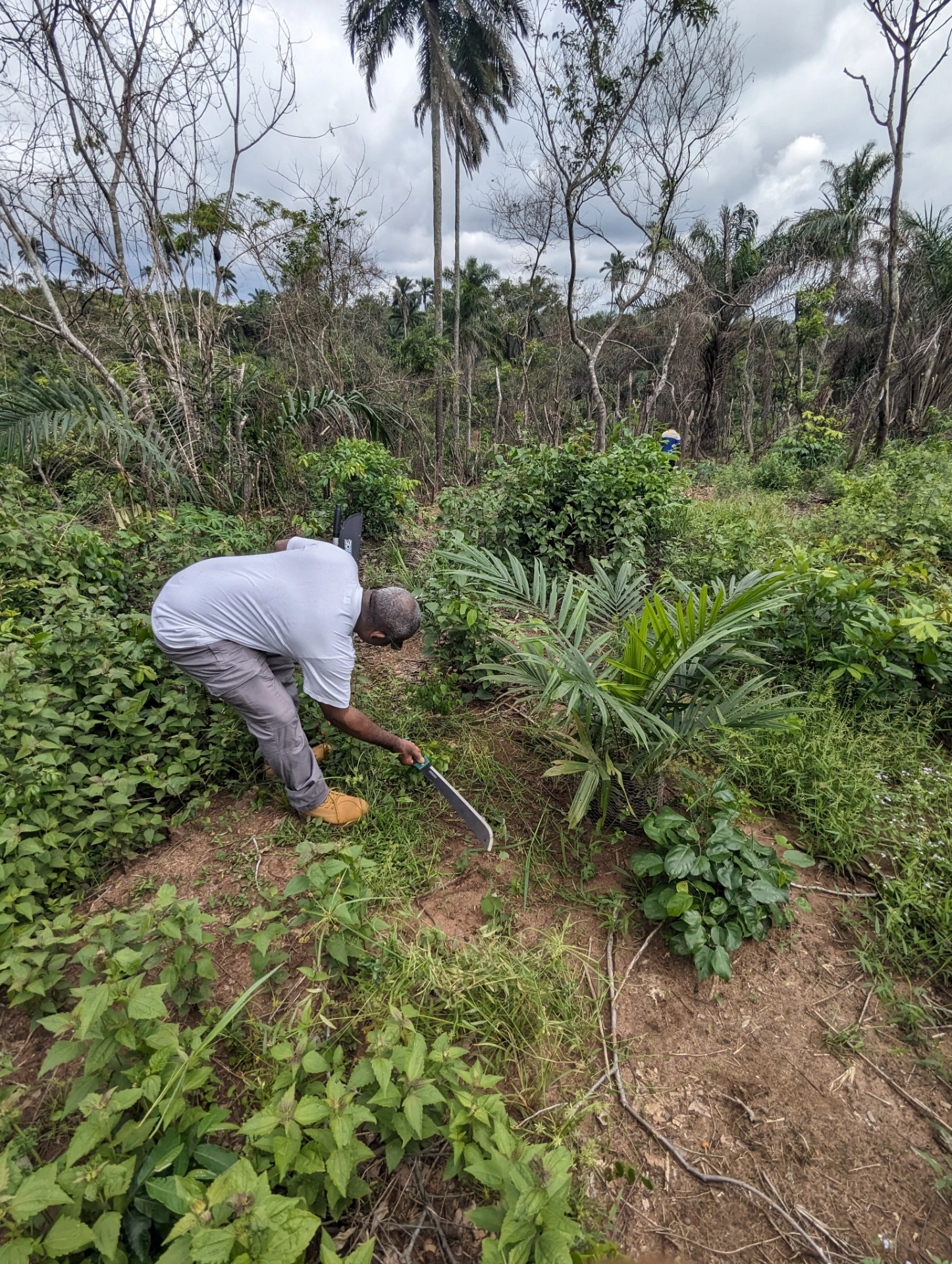 Agrocoop Cultivation Insepection.