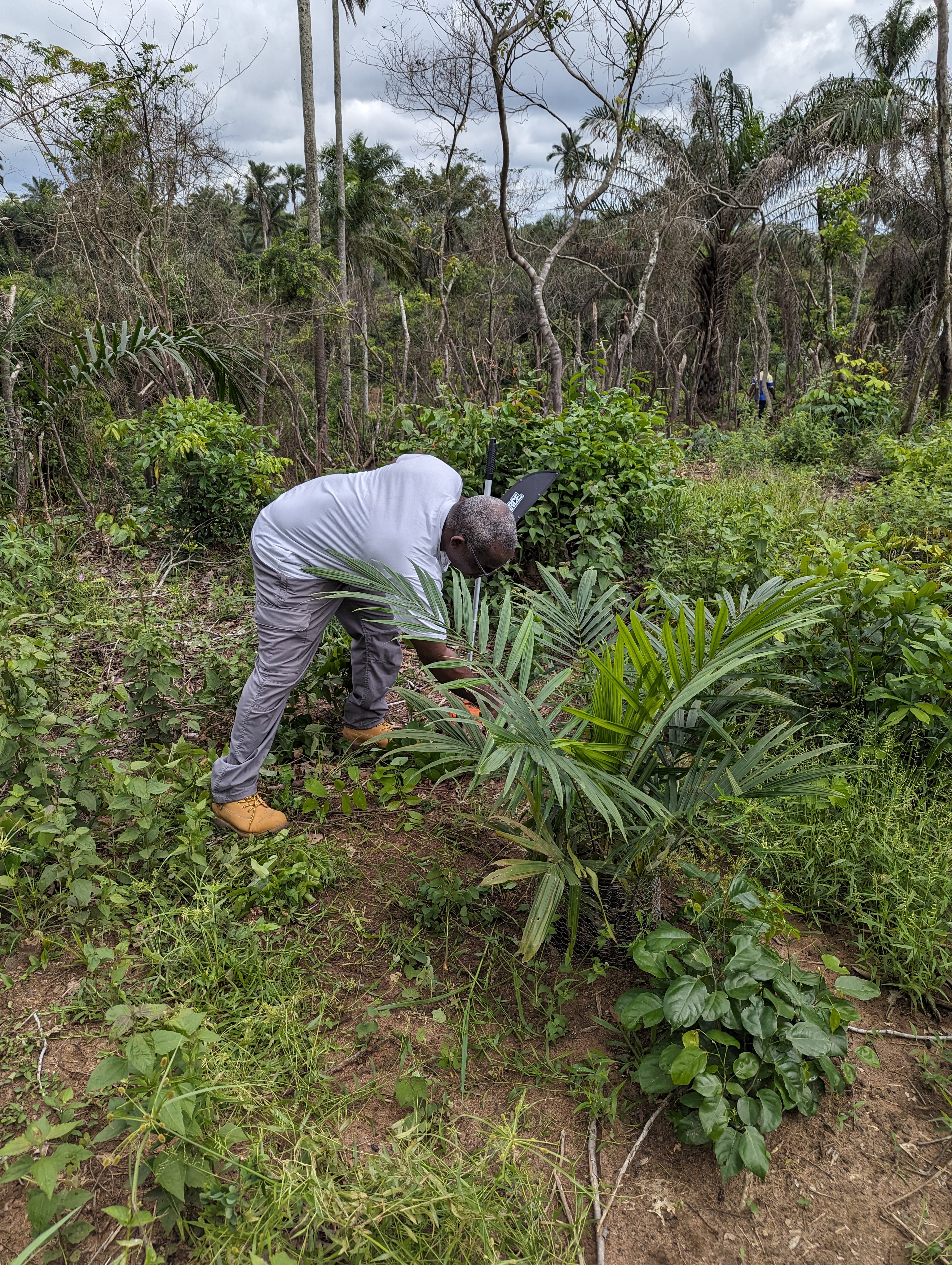agrocoop forestry inspection