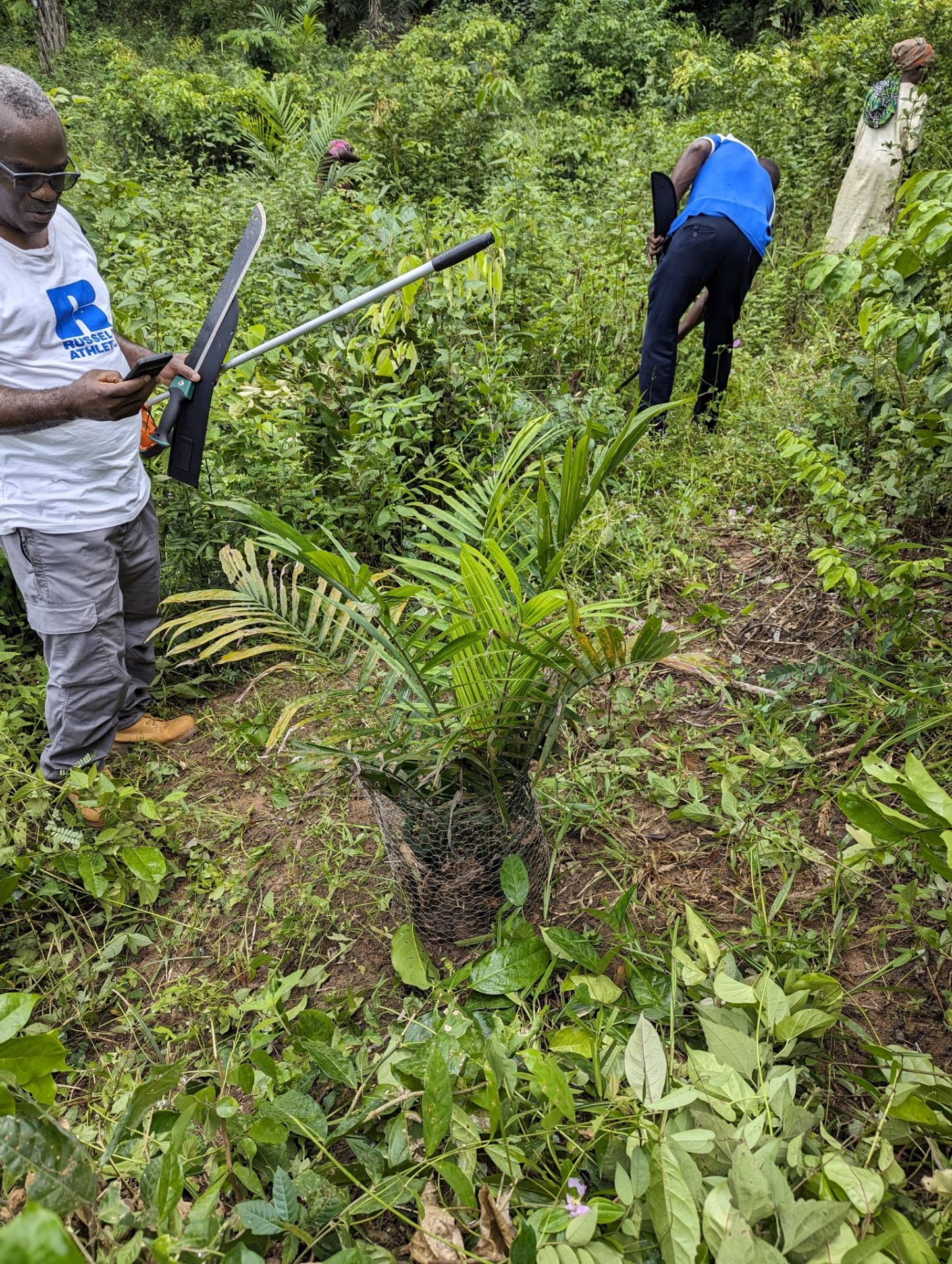 Agrocoop Cultivation Insepection.