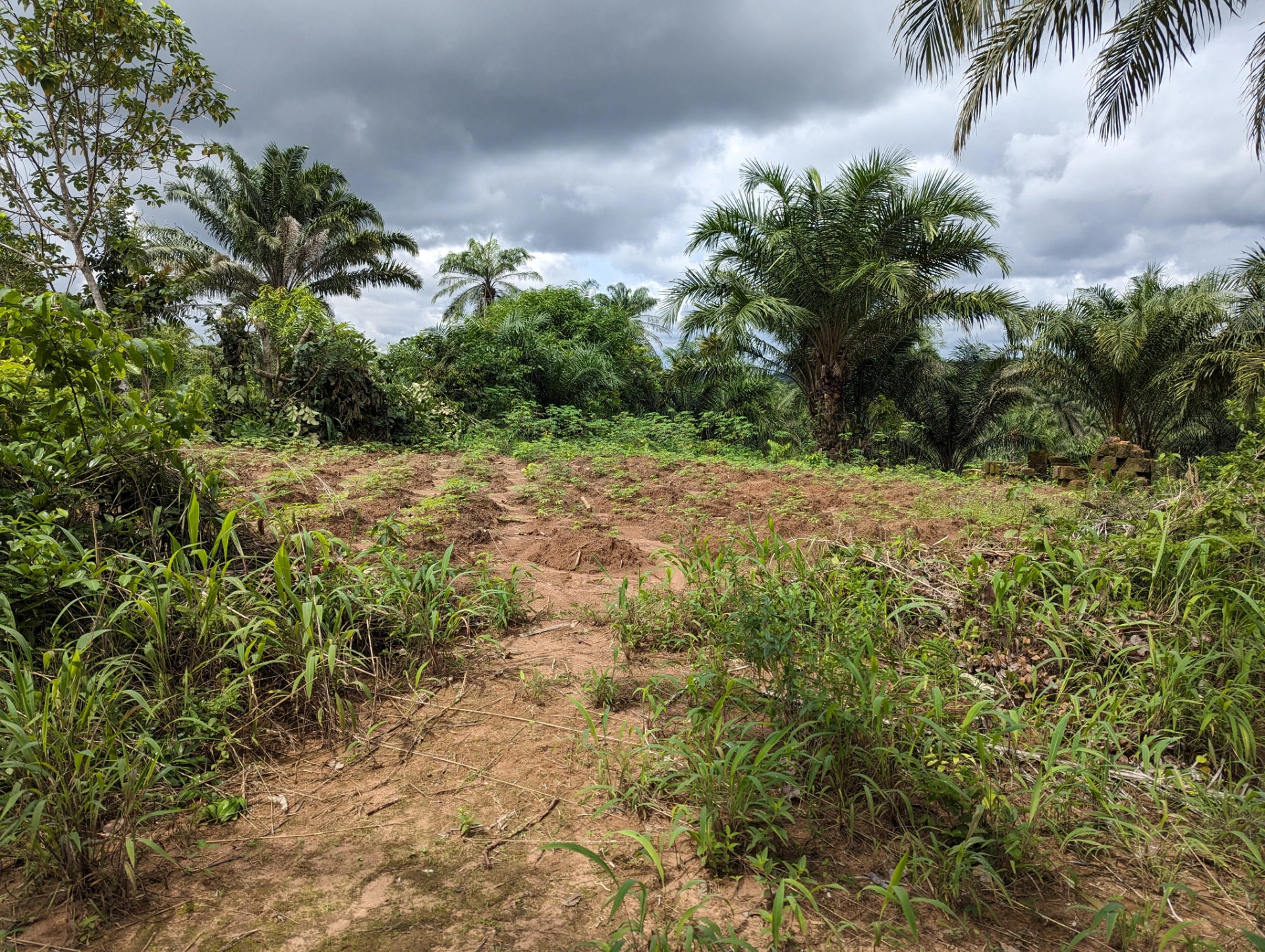 Agrocoop Cultivation Insepection.