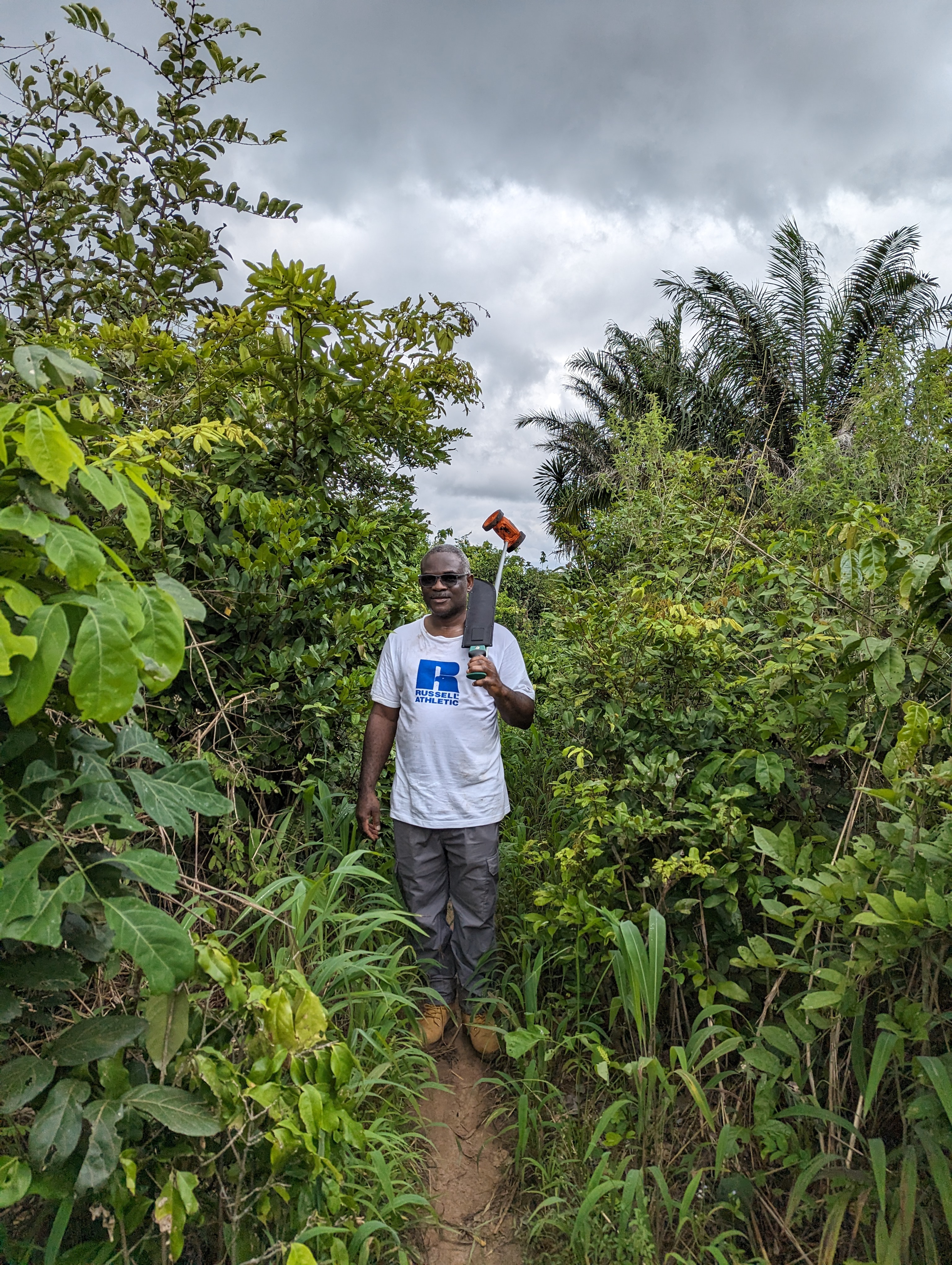 agrocoop forestry inspection