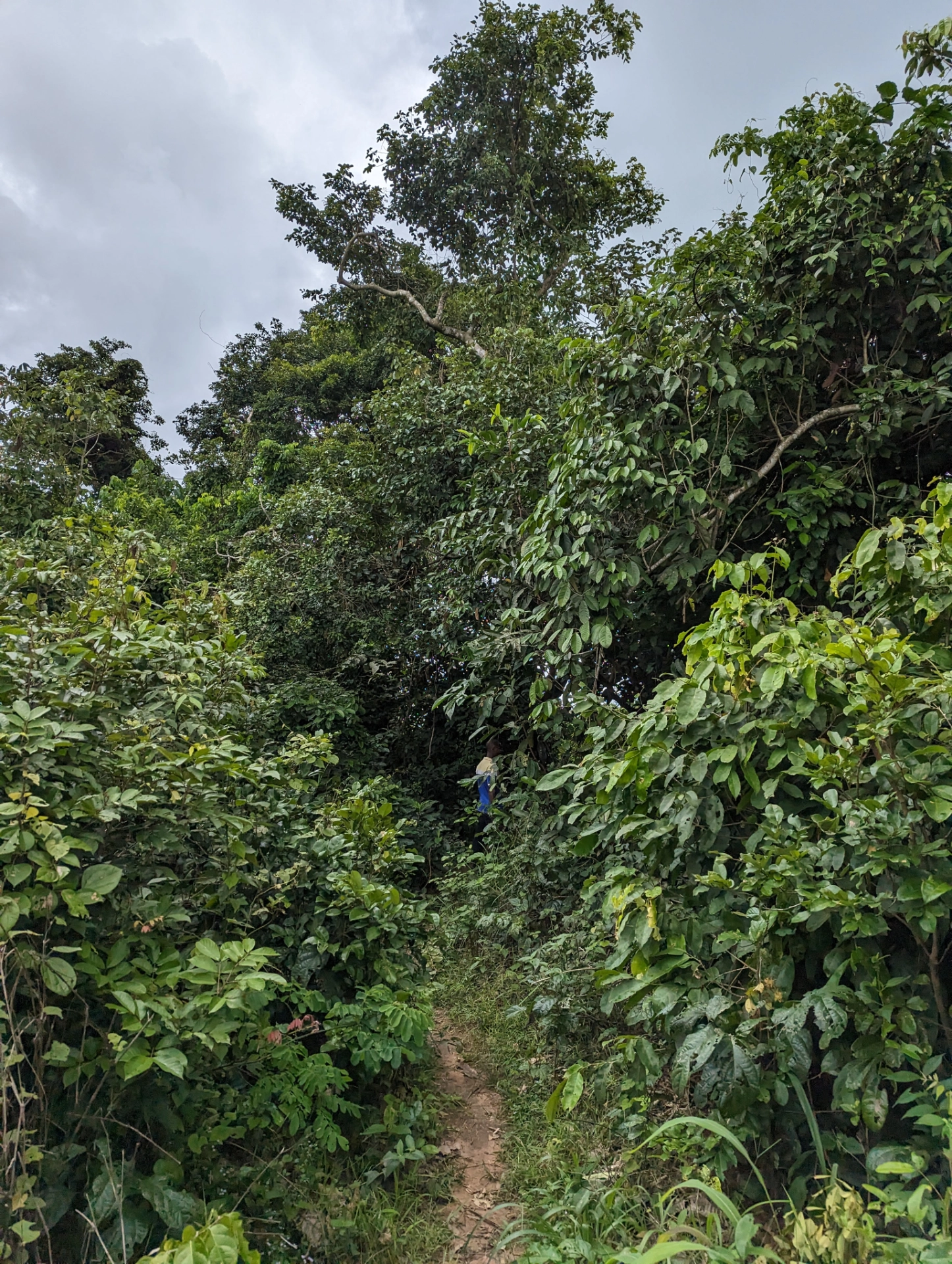 Agrocoop Cultivation Insepection.