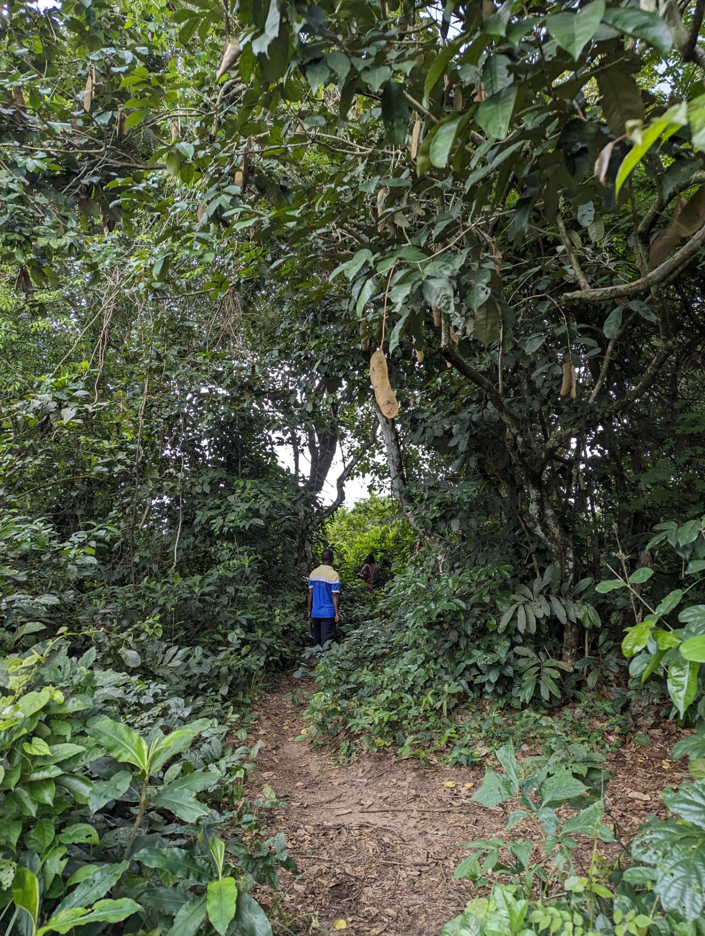 Agrocoop Cultivation Insepection.