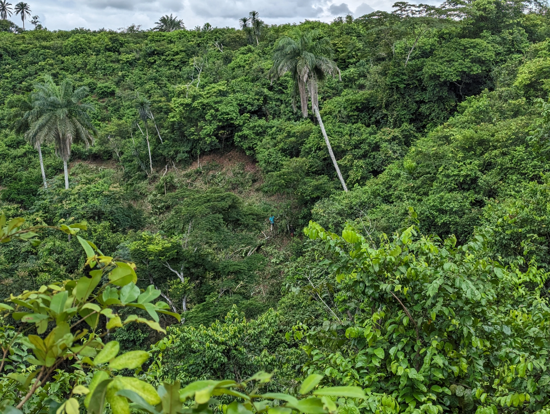 Agrocoop Cultivation Insepection.