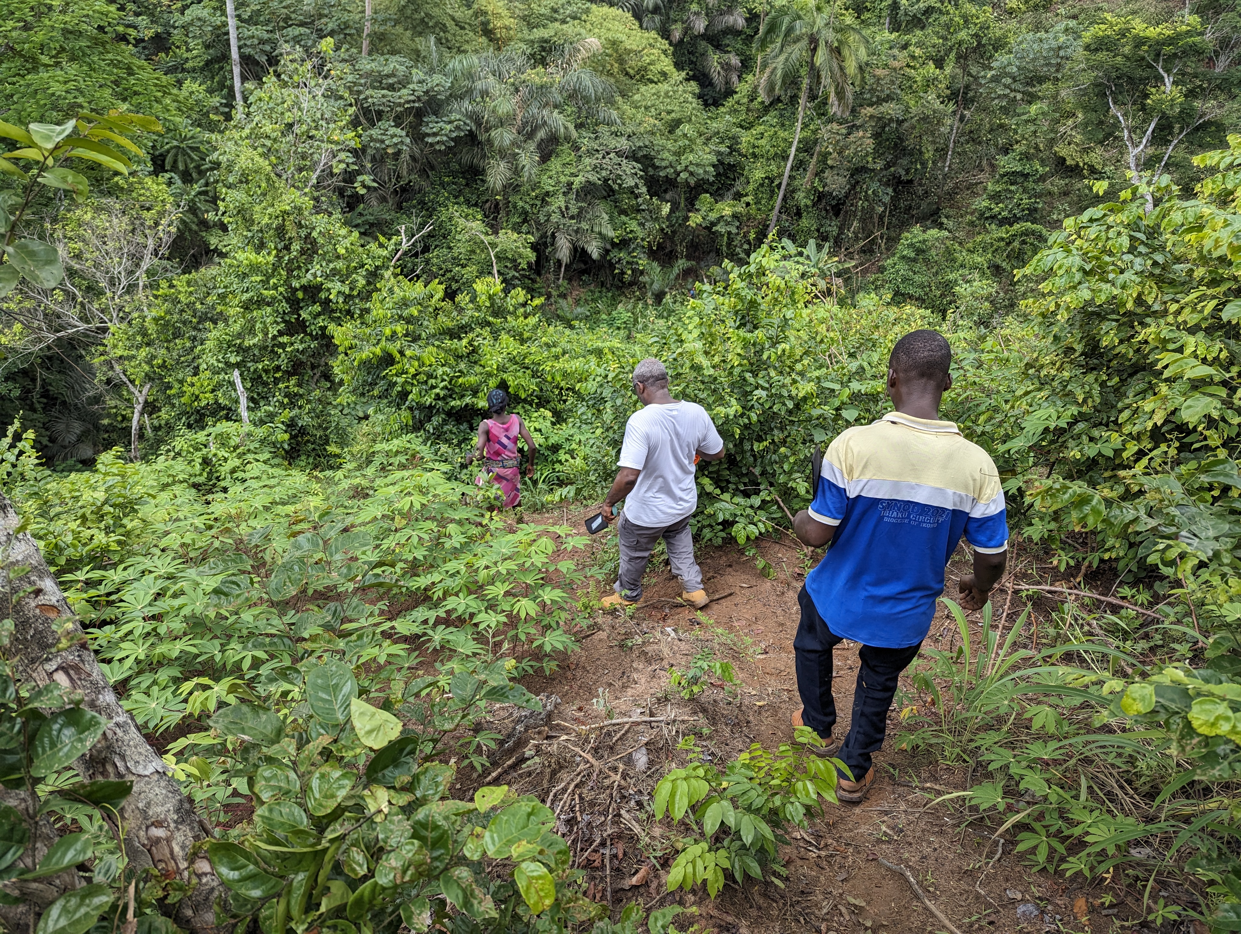 agrocoop forestry inspection