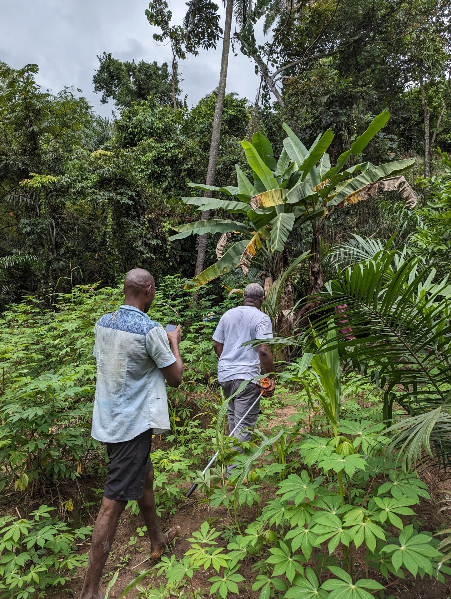 Agrocoop Cultivation Insepection.