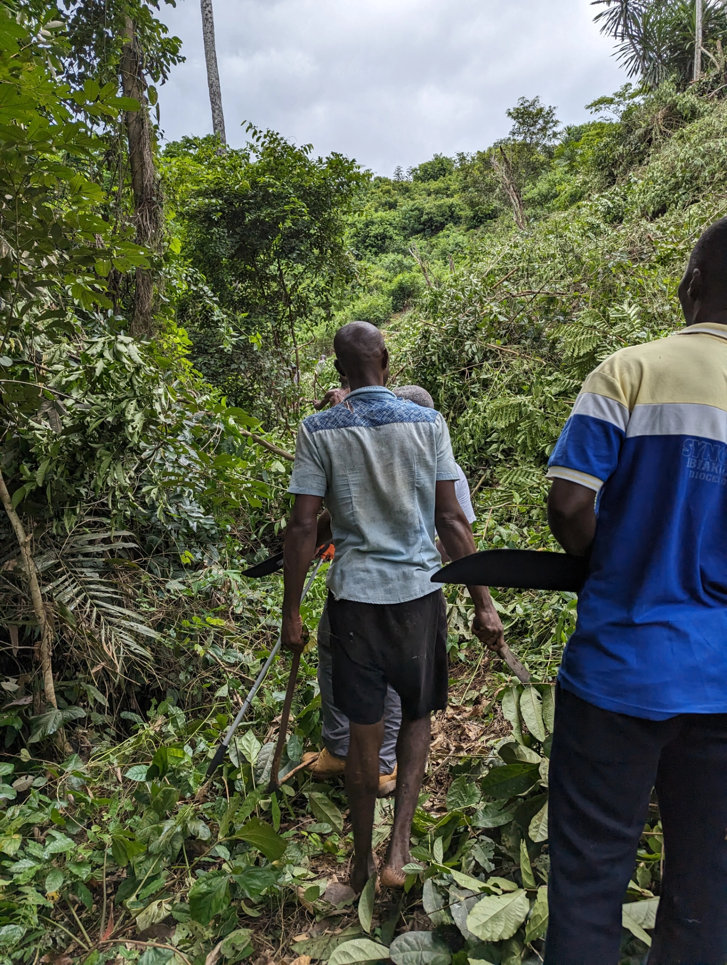 Agrocoop Cultivation Insepection.