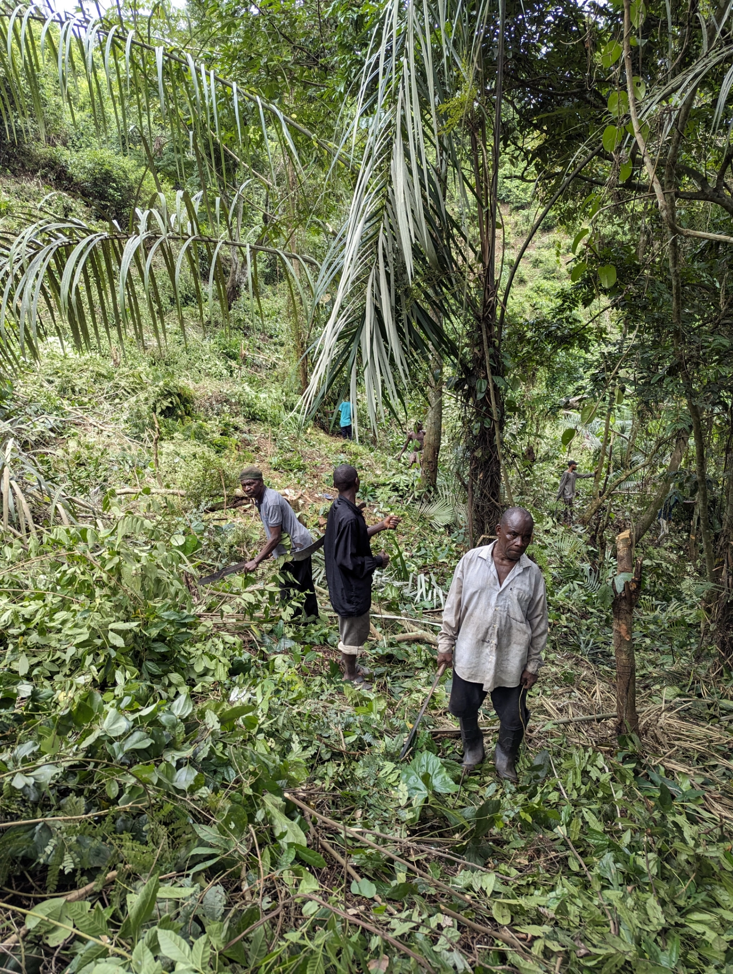 Agrocoop Cultivation Insepection.