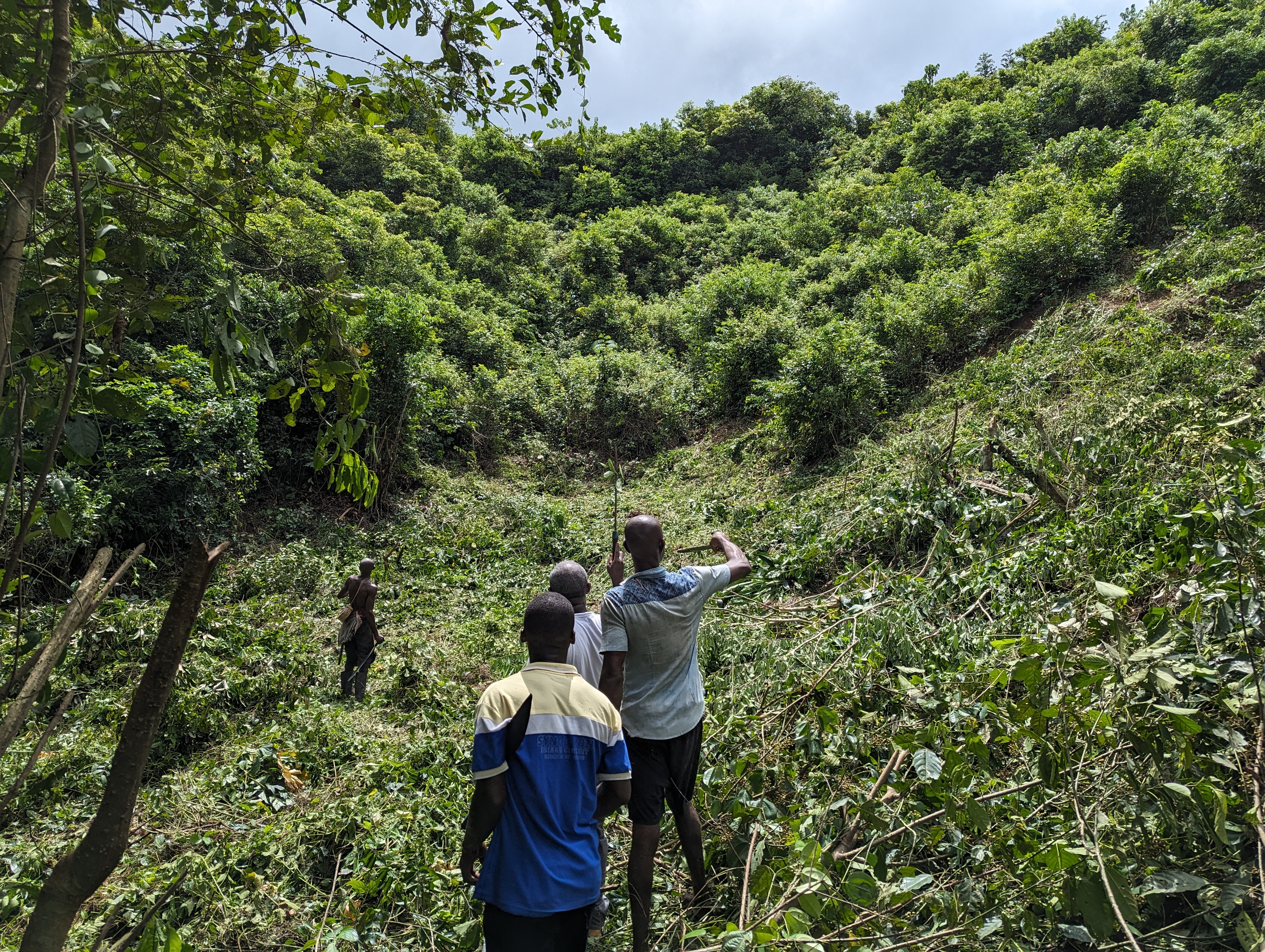 agrocoop forestry inspection