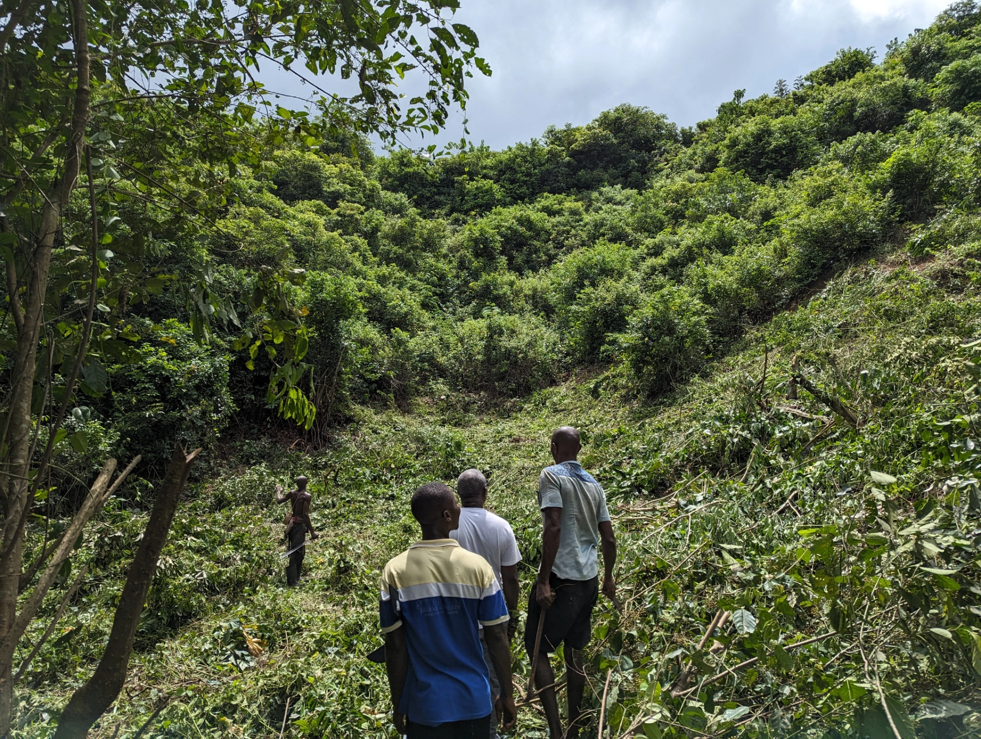 Agrocoop Cultivation Insepection.