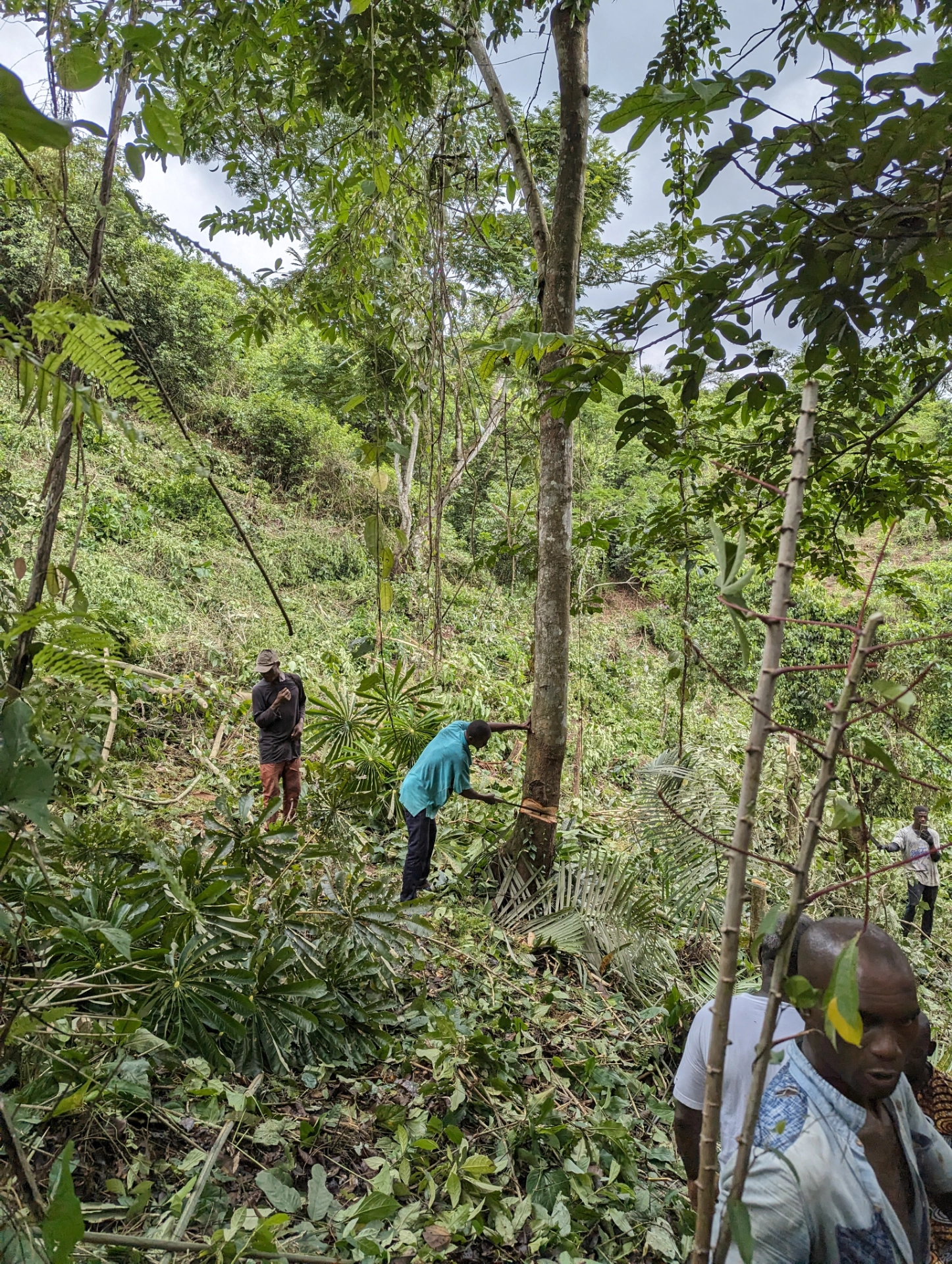 Agrocoop Cultivation Insepection.